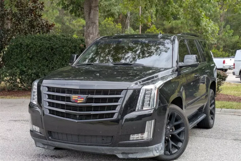 2019 Cadillac Escalade Luxury photo 1
