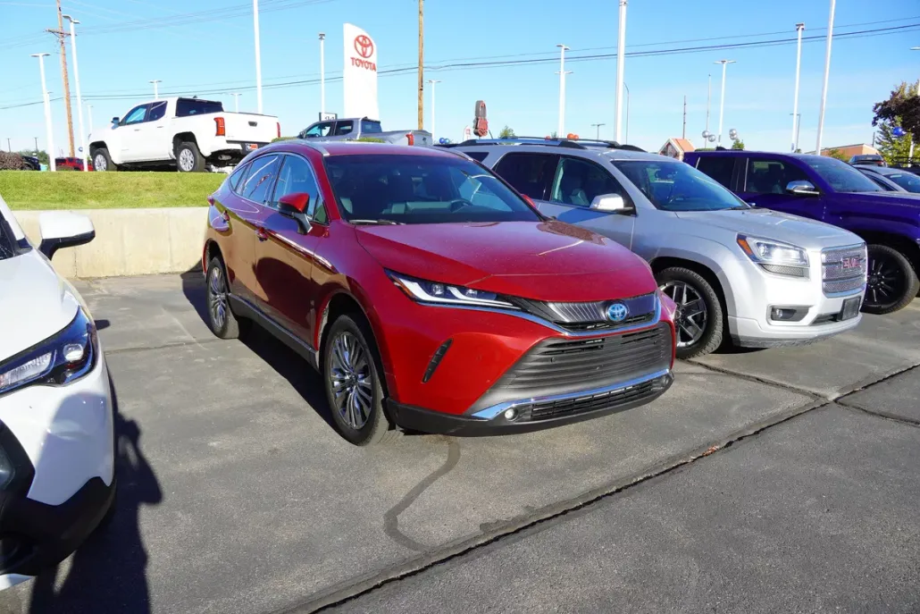 2024 Toyota Venza XLE photo 1