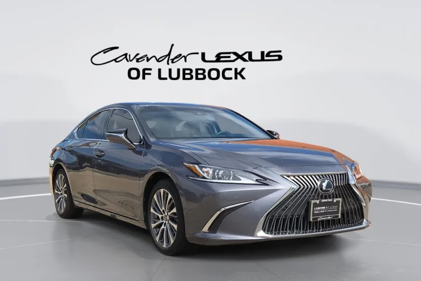 2021 Lexus ES 350 Luxury photo 1