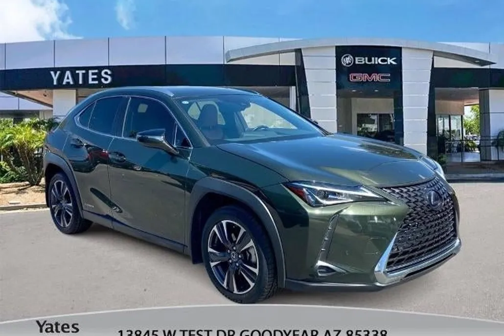 2021 Lexus UX 250h photo 1