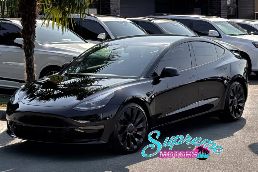 2022 Tesla Model 3 Performance photo 1