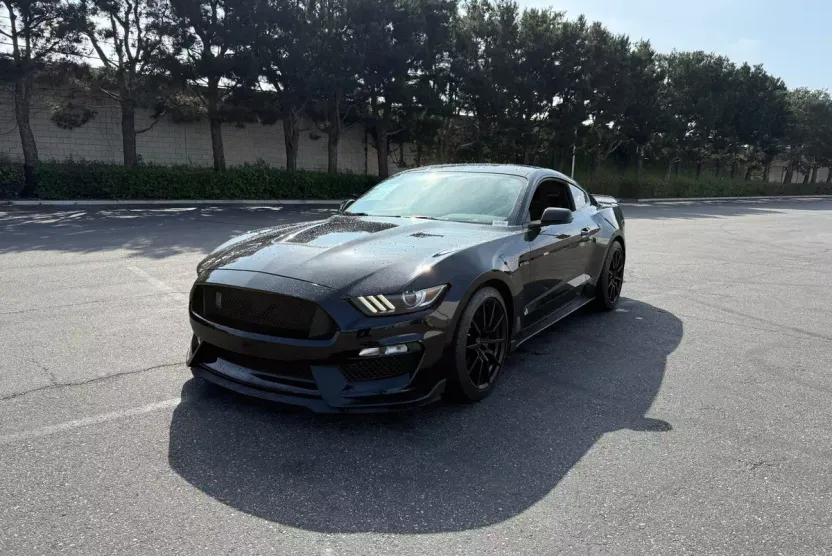2018 Ford Mustang Shelby GT350 photo 1