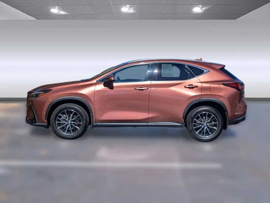 2025 Lexus NX 250 Premium photo 1