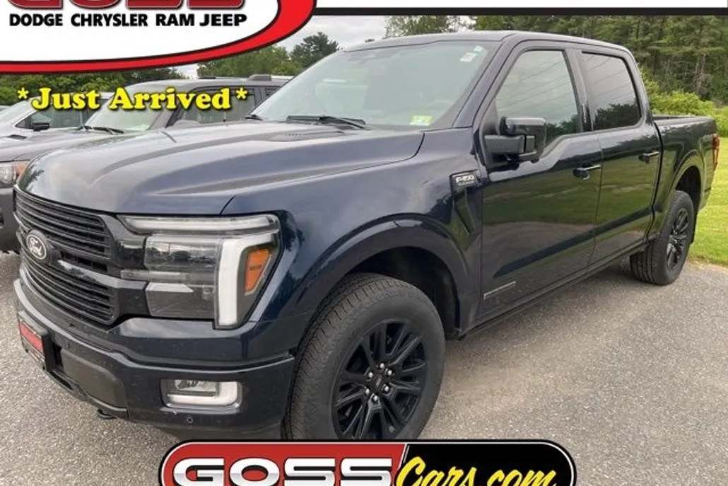 2024 Ford F-150 Platinum photo 1