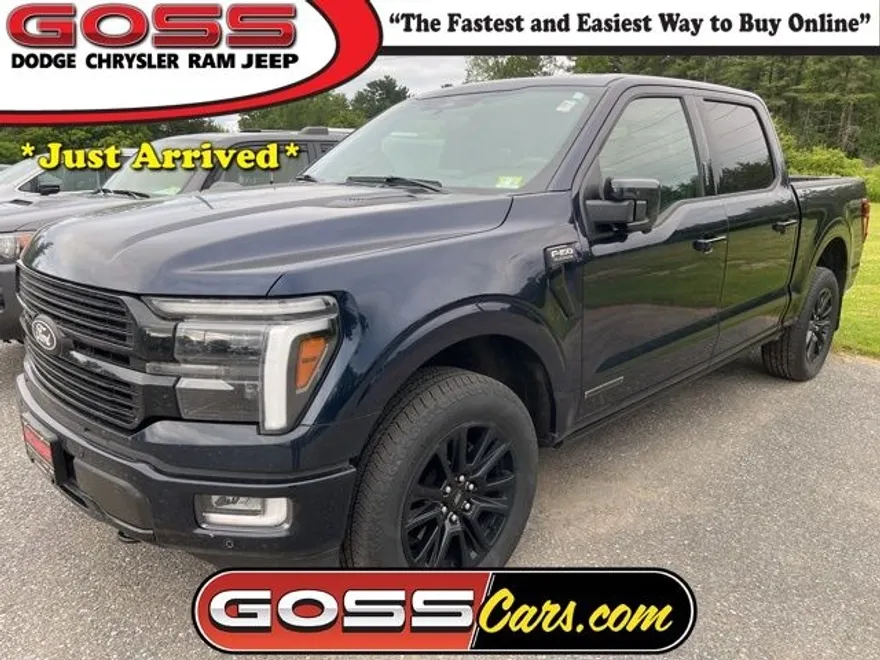 2024 Ford F-150 Platinum photo 1