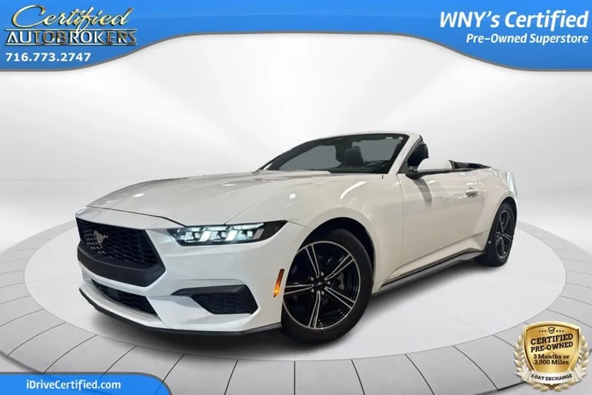 2024 Ford Mustang EcoBoost Premium Convertible photo 1