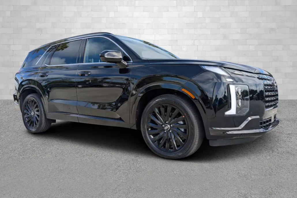 2025 Hyundai Palisade Calligraphy photo 1
