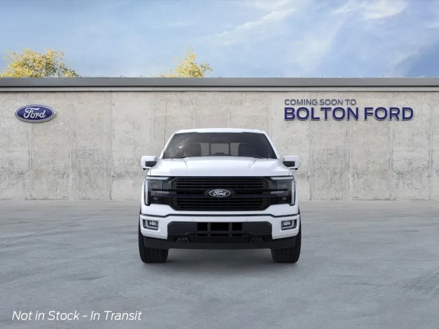 2025 Ford F-150 Platinum photo 6