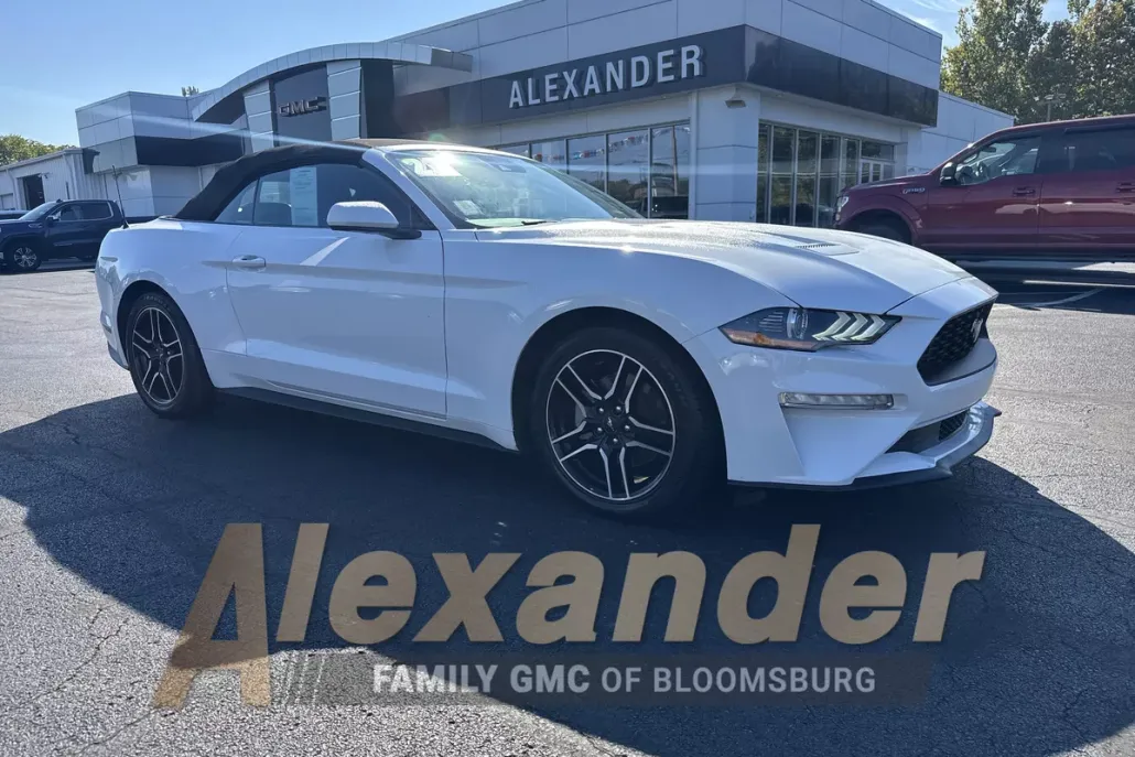 2023 Ford Mustang EcoBoost Premium photo 1