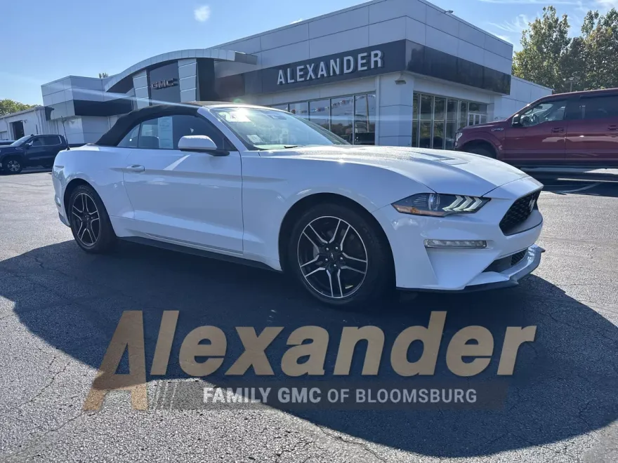 2023 Ford Mustang EcoBoost Premium photo 1