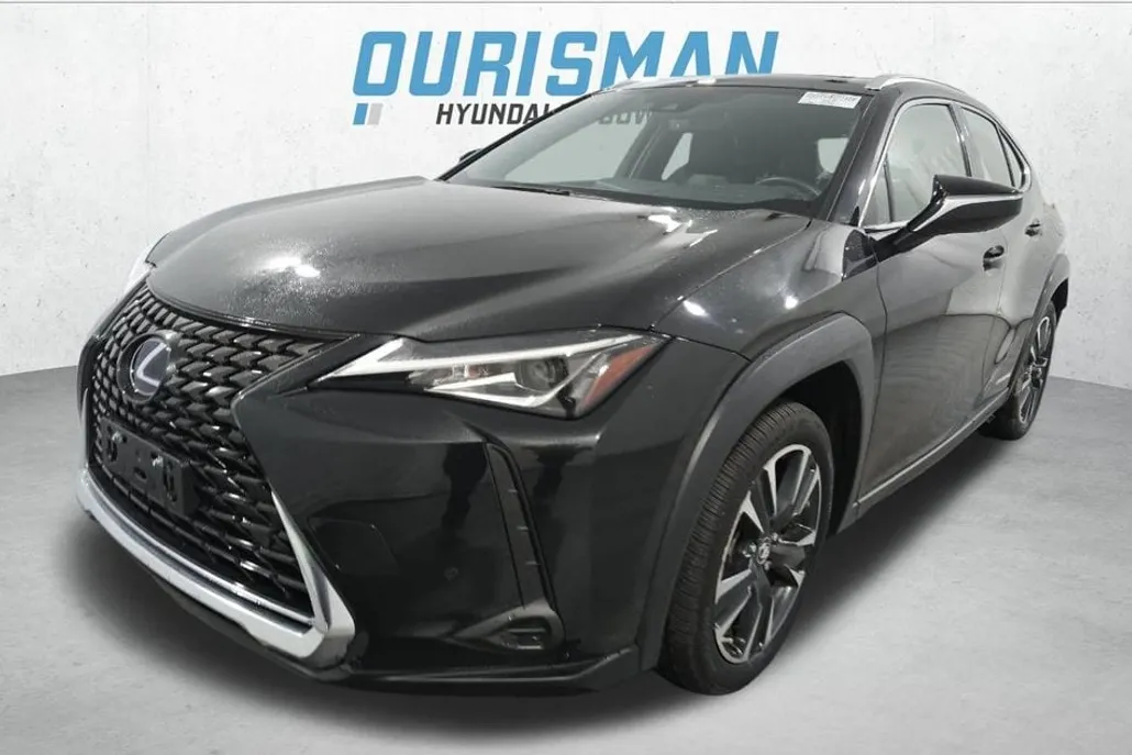 2021 Lexus UX 250h photo 1