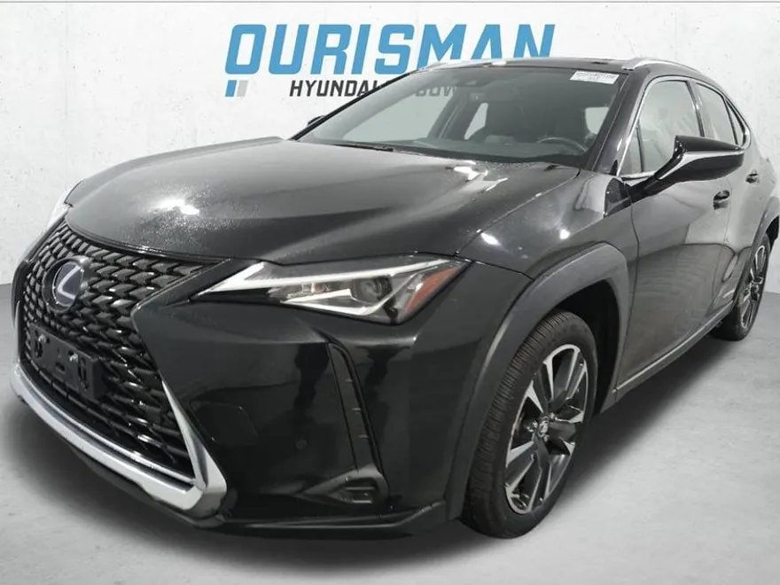 2021 Lexus UX 250h photo 1