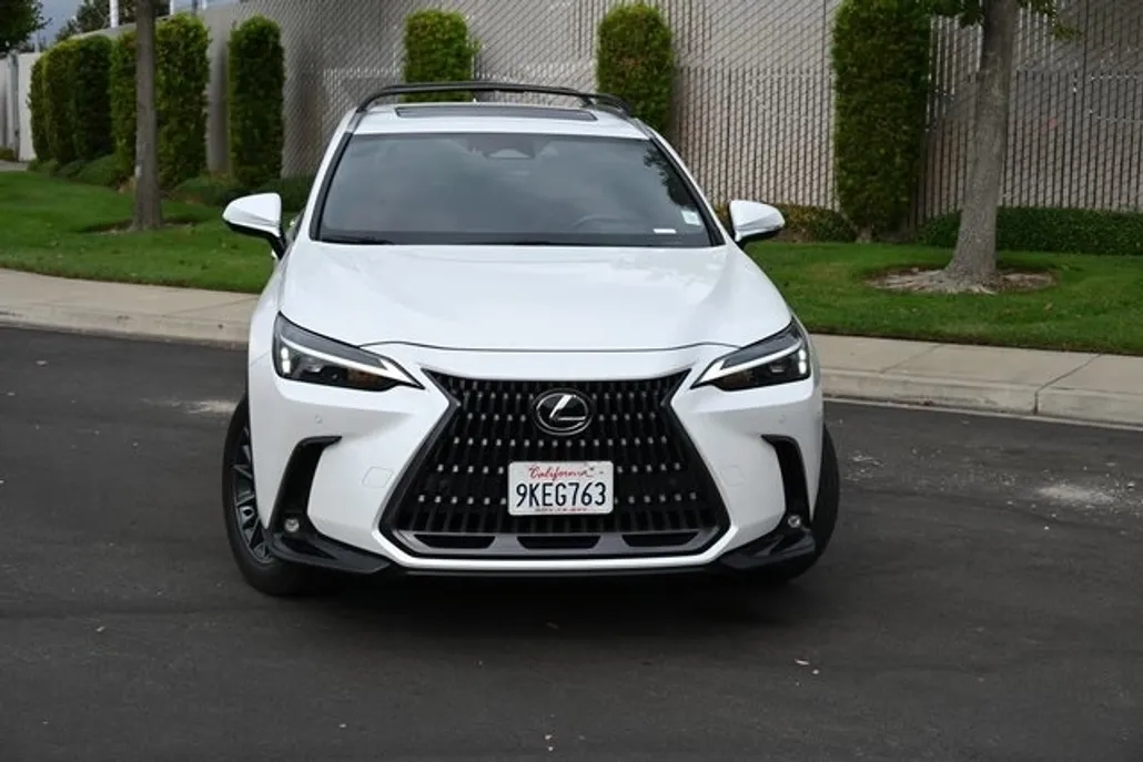 2024 Lexus NX 350h Premium photo 1