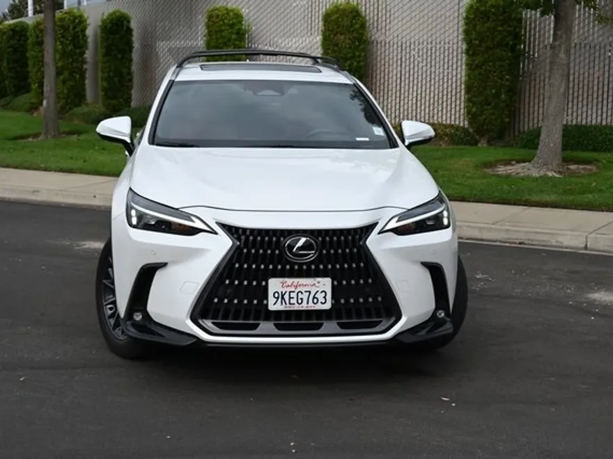 2024 Lexus NX 350h Premium photo 1