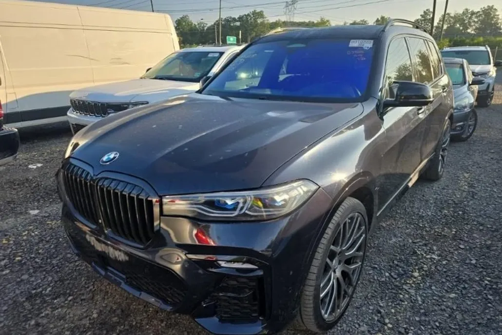 2019 Bmw X7 xDrive50i photo 1