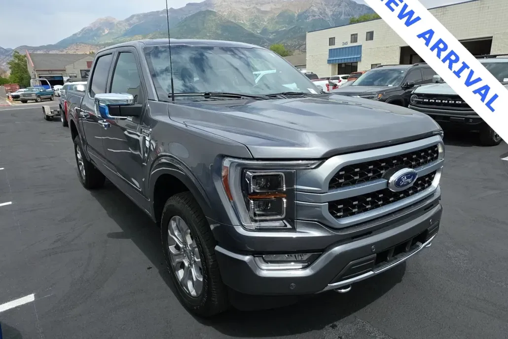 2023 Ford F-150 Platinum photo 1