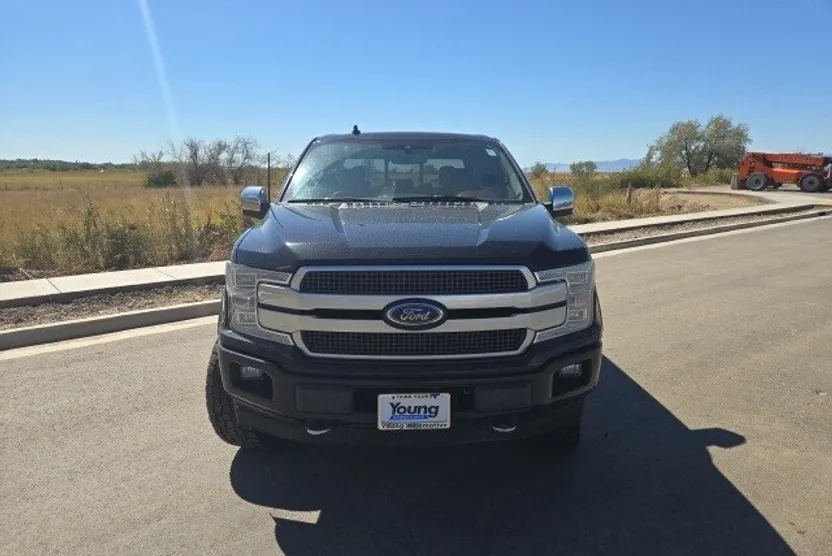 2018 Ford F-150 Platinum photo 1