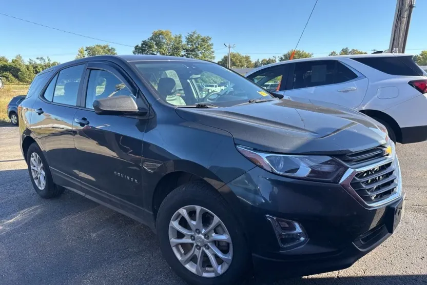 2020 Chevrolet Equinox LS photo 1