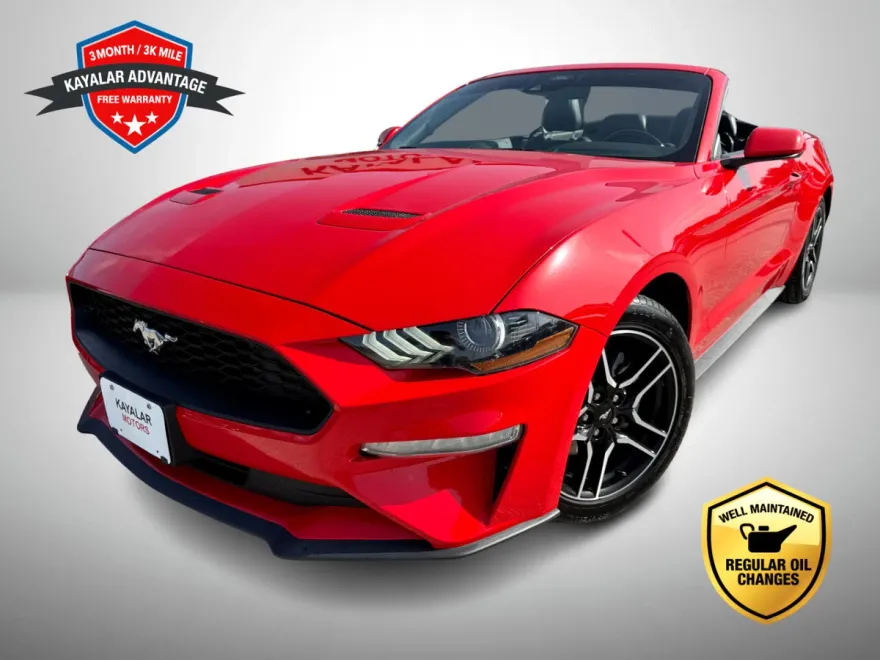 2022 Ford Mustang EcoBoost Premium Convertible photo 1