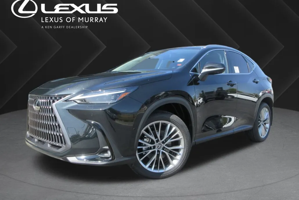 2025 Lexus NX 350h Luxury photo 1