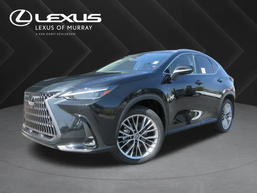 2025 Lexus NX 350h Luxury photo 1