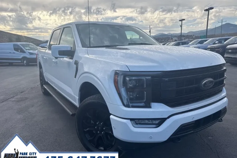 2022 Ford F-150 Platinum photo 1