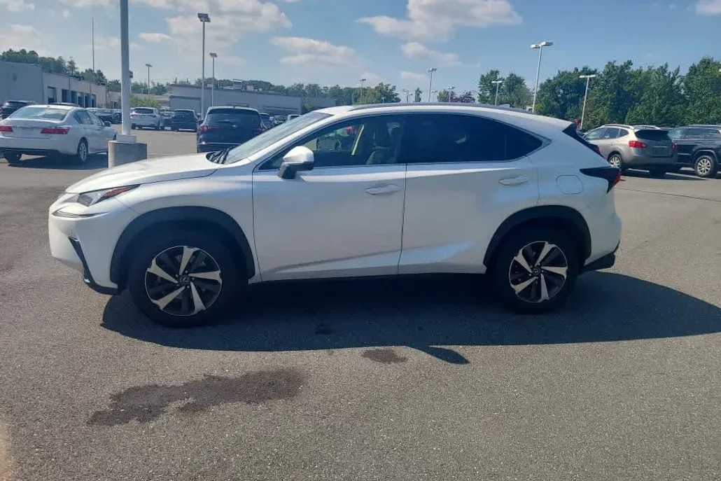 2018 Lexus NX 300 Luxury photo 1