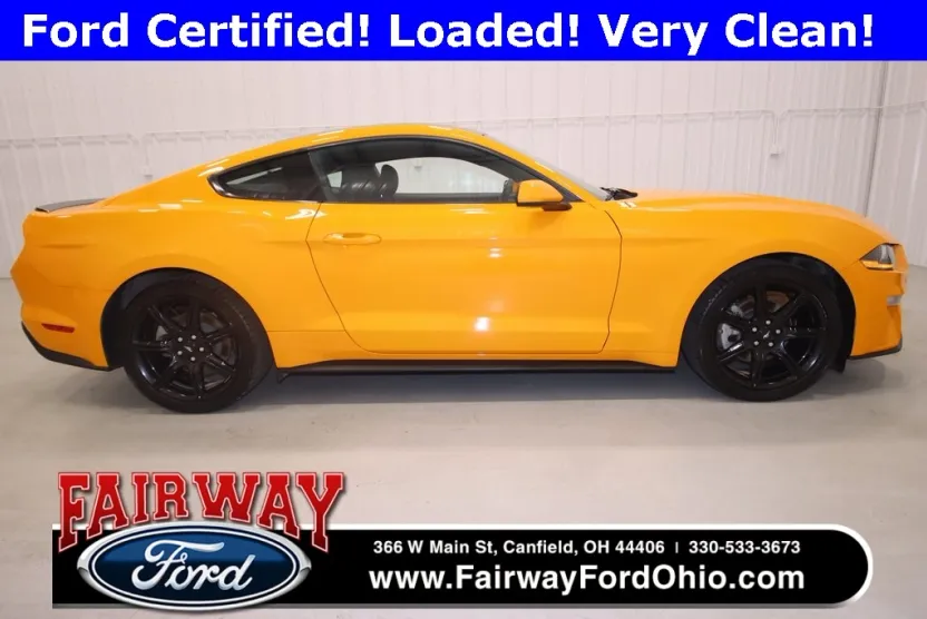 2019 Ford Mustang photo 1