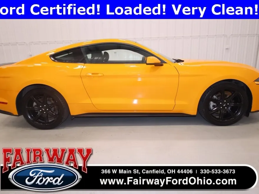 2019 Ford Mustang photo 1