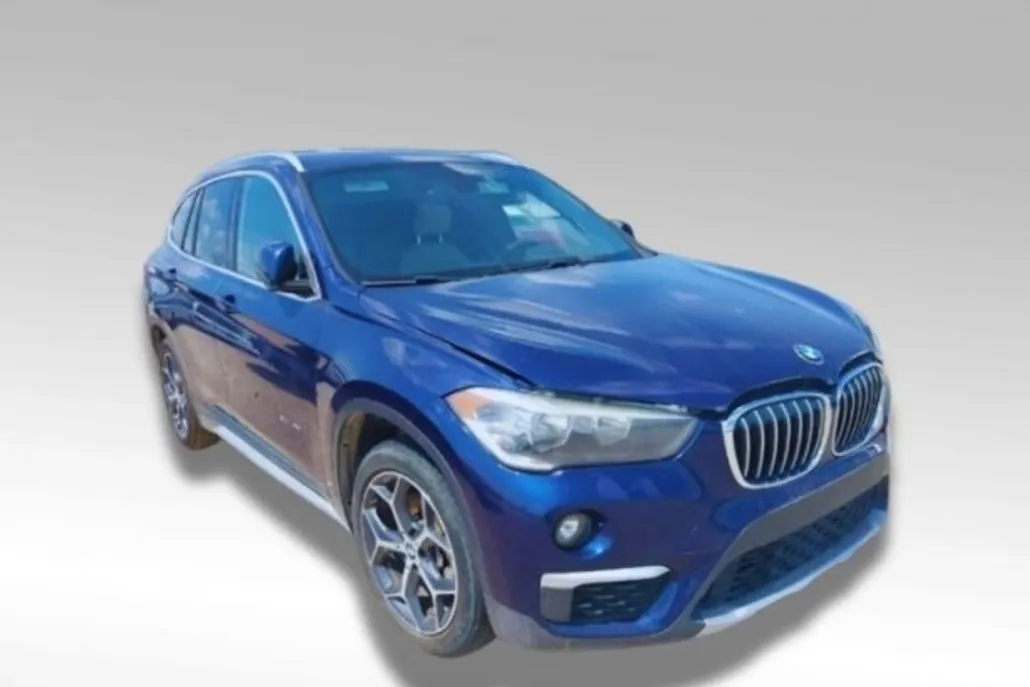 2018 Bmw X1 sDrive28i photo 1