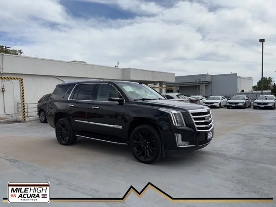 2018 Cadillac Escalade Luxury photo 1