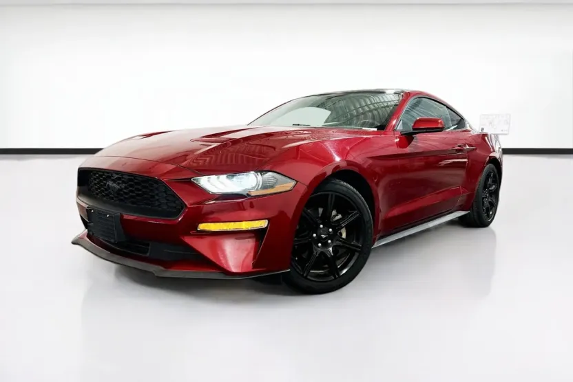 2019 Ford Mustang EcoBoost photo 1
