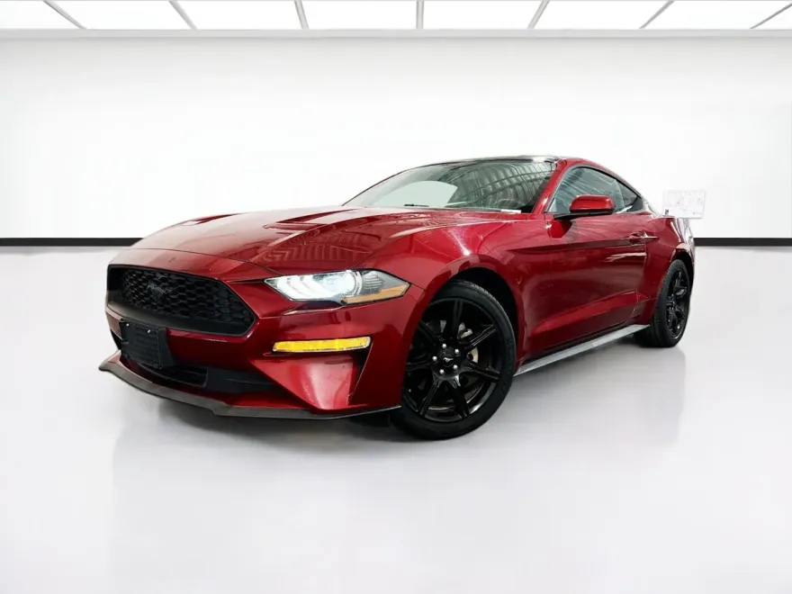 2019 Ford Mustang EcoBoost photo 1