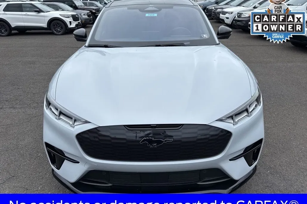 2023 Ford Mustang Mach-E GT photo 1
