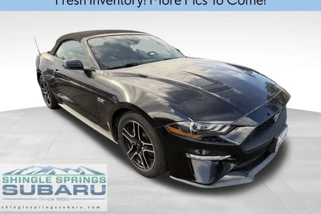 2019 Ford Mustang EcoBoost Premium Convertible photo 1