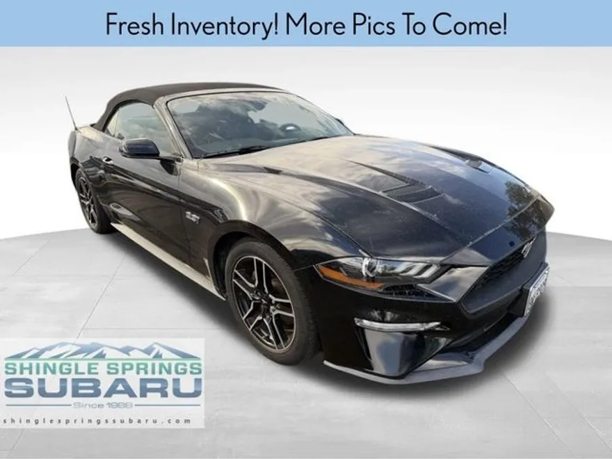 2019 Ford Mustang EcoBoost Premium Convertible photo 1