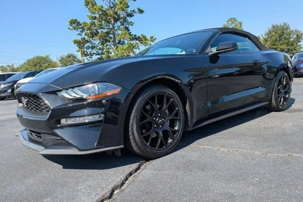 2019 Ford Mustang EcoBoost Premium photo 1