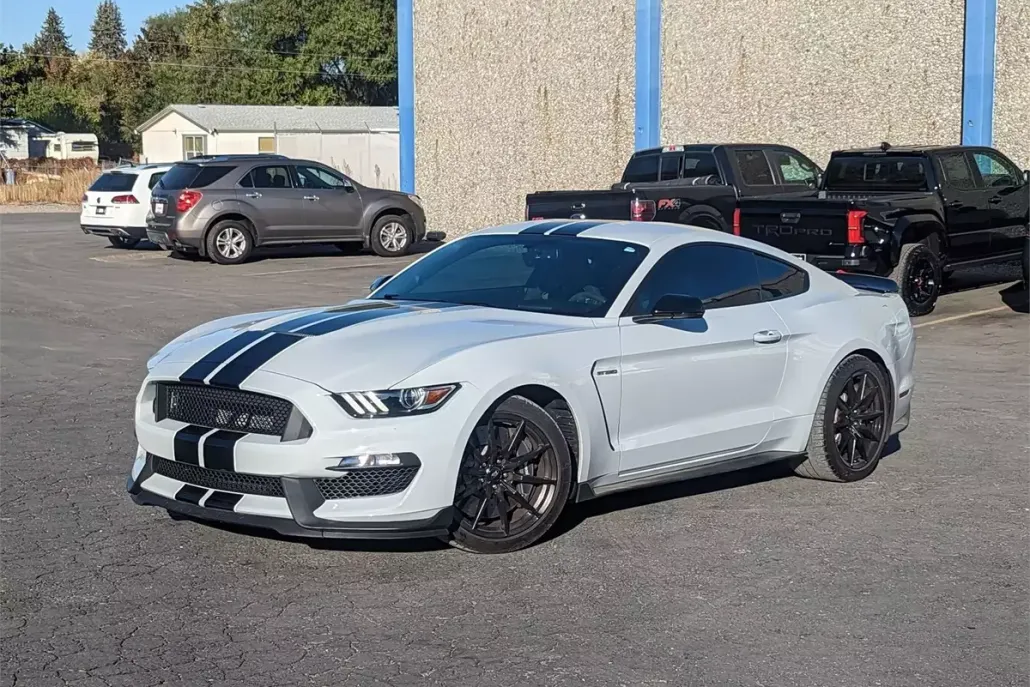 2017 Ford Mustang Shelby photo 1