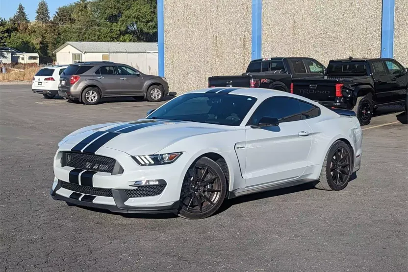 2017 Ford Mustang Shelby photo 1