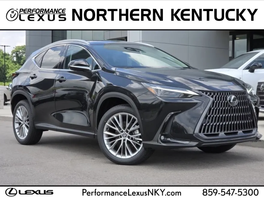 2025 Lexus NX 350 Luxury AWD photo 1