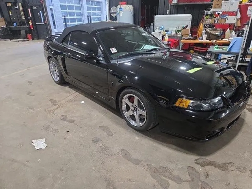 2004 Ford Mustang Cobra Convertible photo 1