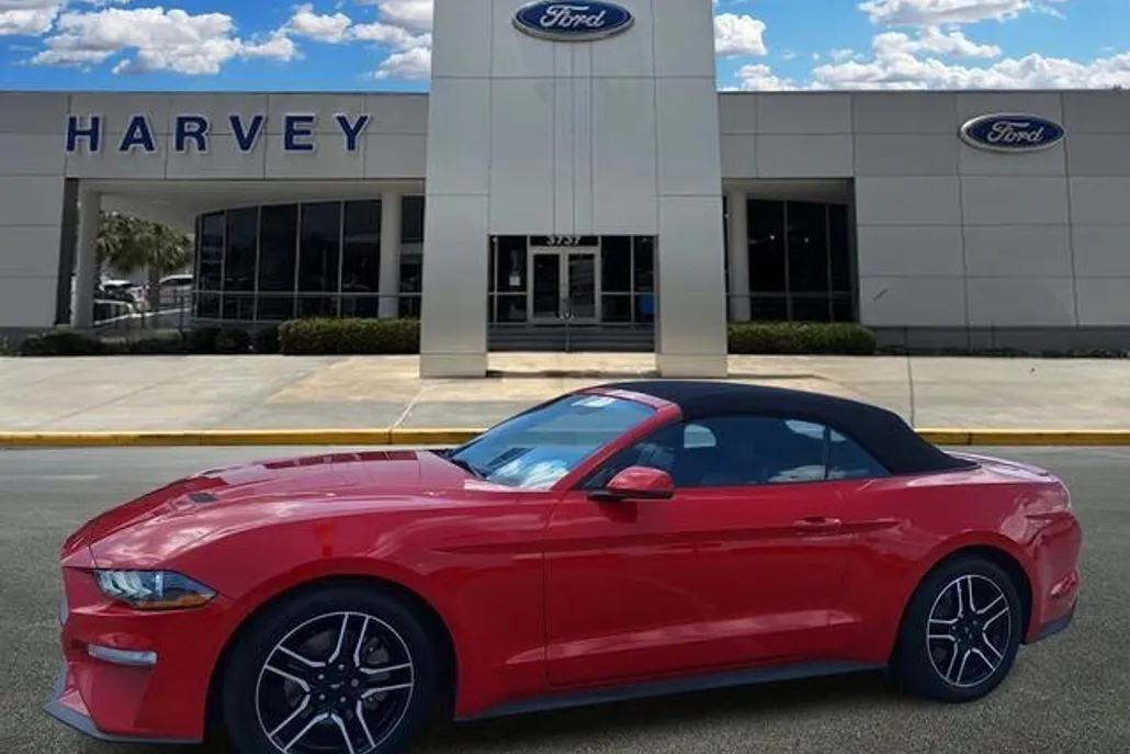 2019 Ford Mustang EcoBoost Premium photo 1