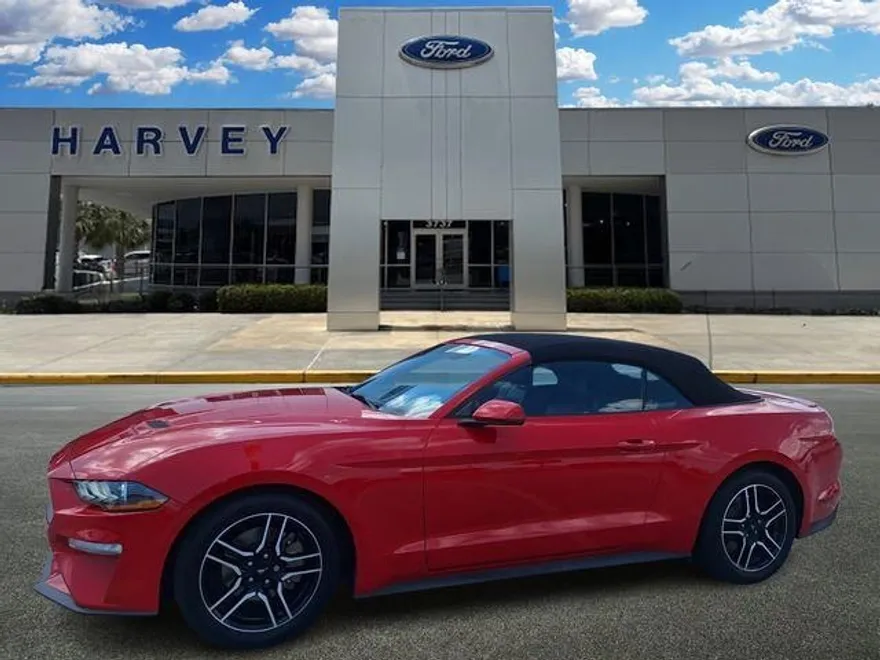 2019 Ford Mustang EcoBoost Premium photo 1