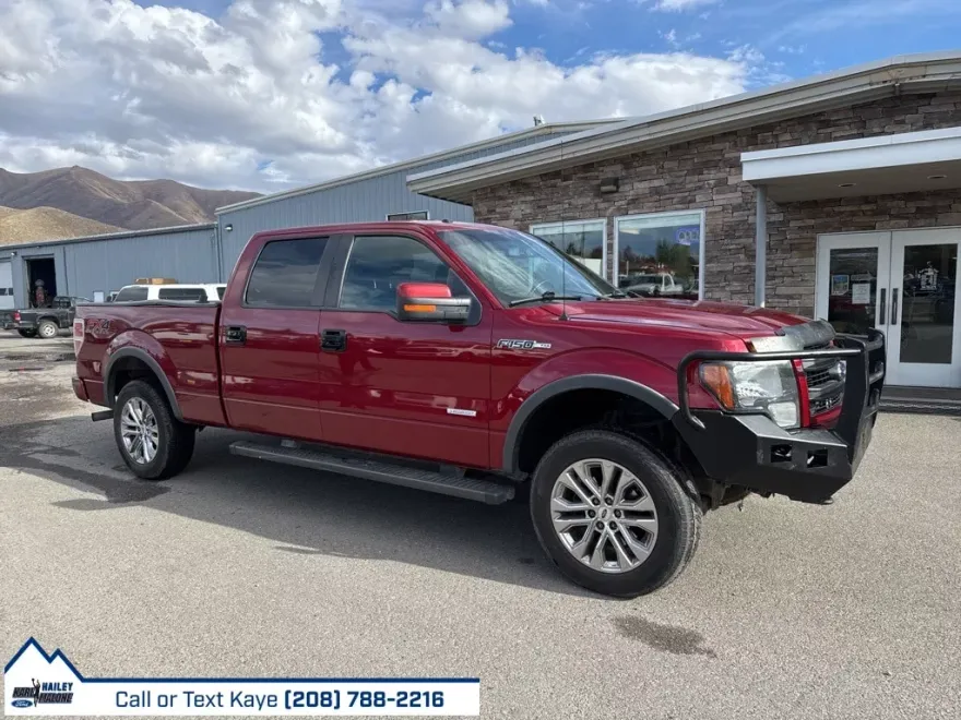 2013 Ford F-150 Base photo 1
