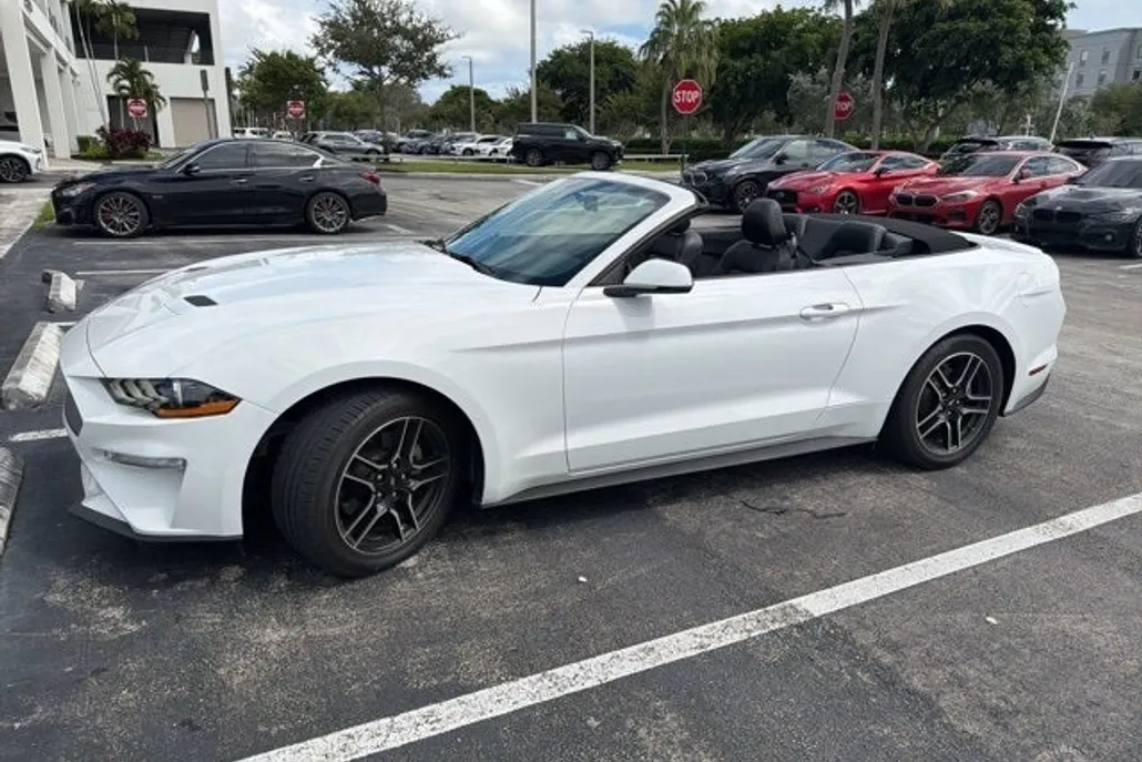 2019 Ford Mustang EcoBoost Premium photo 1