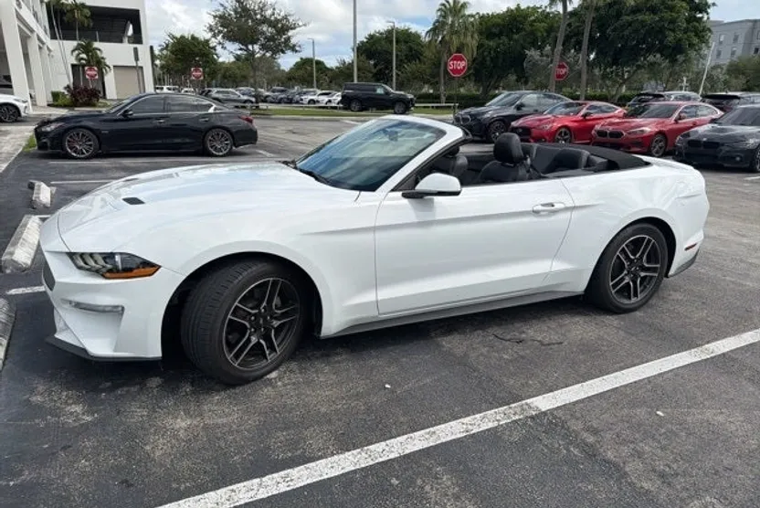 2019 Ford Mustang EcoBoost Premium photo 1