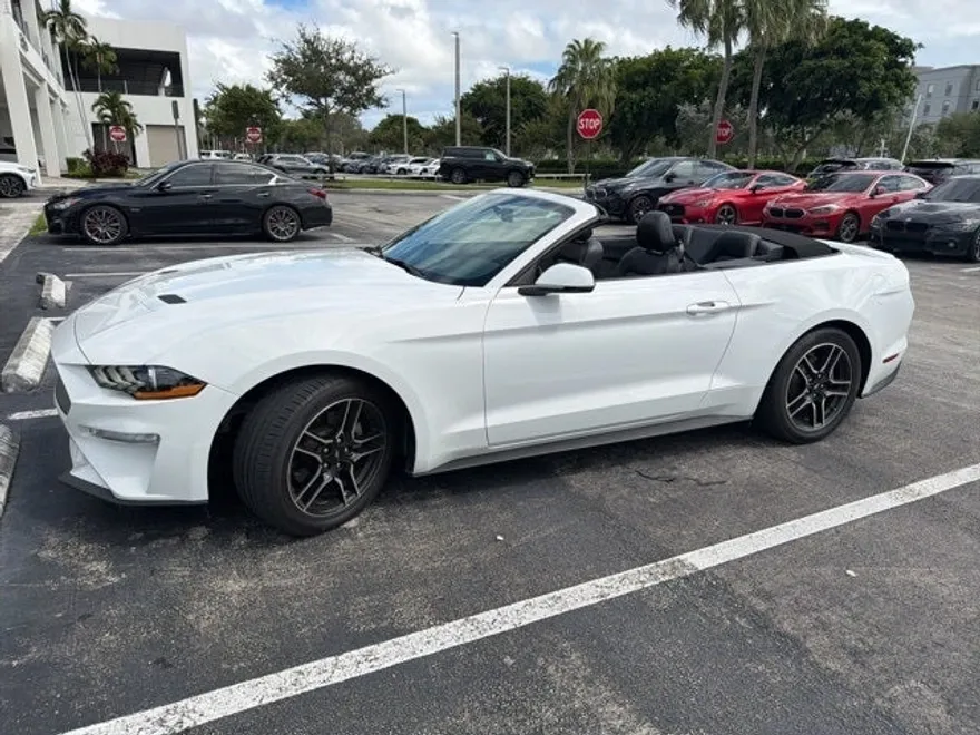 2019 Ford Mustang EcoBoost Premium photo 1