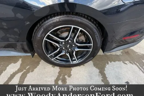 2021 Ford Mustang EcoBoost Premium photo 3