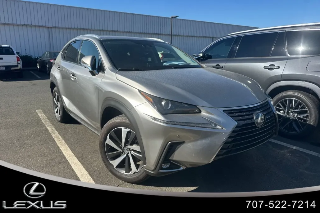 2020 Lexus NX 300h AWD photo 1
