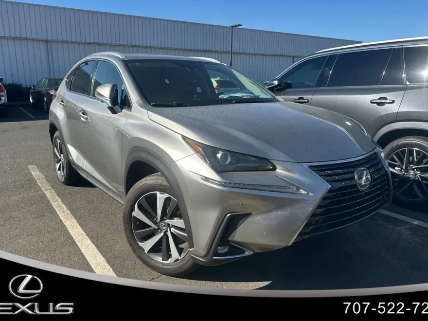 2020 Lexus NX 300h AWD photo 1